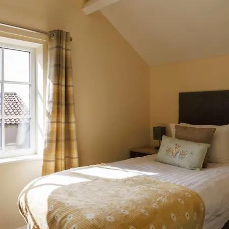 Daisy - An Enchanting *