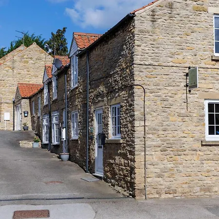 Daisy - An Enchanting Scarborough