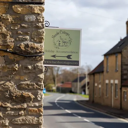 Daisy - An Enchanting