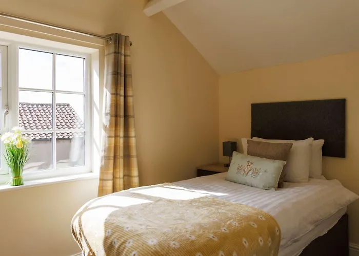 Daisy - An Enchanting *