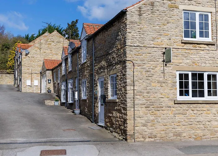 Daisy - An Enchanting Scarborough