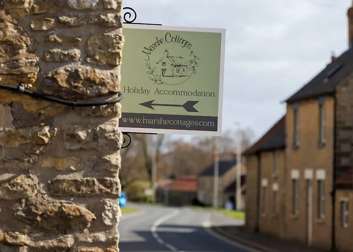 Daisy - An Enchanting